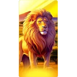 Lion
Safari